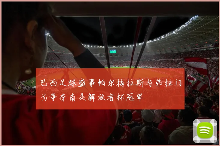 巴西足球盛事帕尔梅拉斯与弗拉门戈争夺南美解放者杯冠军