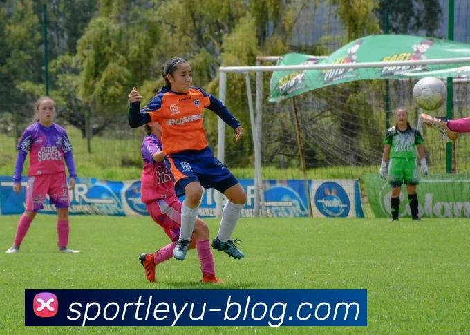 乐鱼体育发展历程